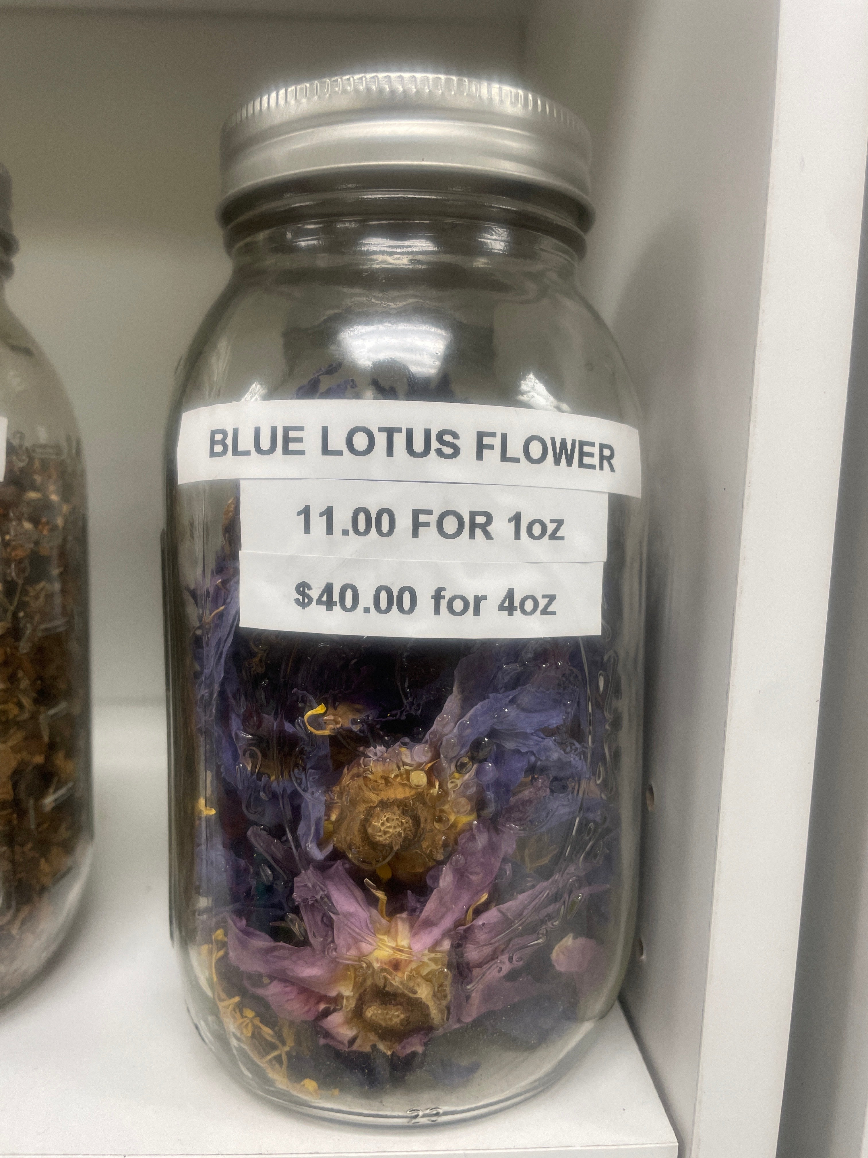 Blue Lotus
