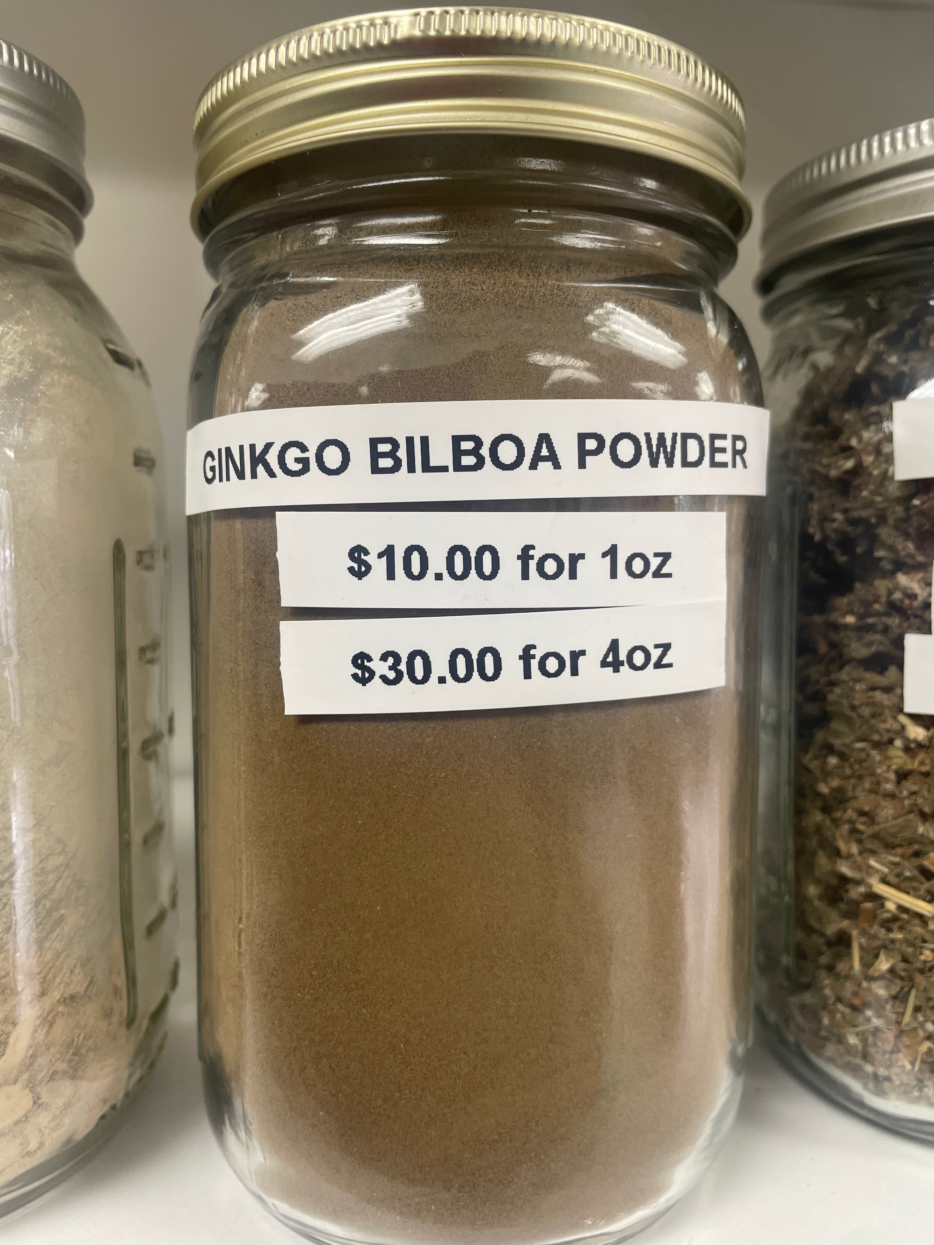 Ginkgo Powder