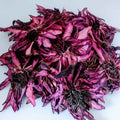 Red Lotus